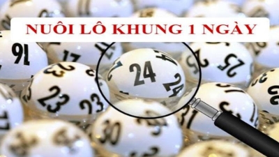 Nuôi lô khung 1 ngày siêu VIP chuẩn xác, tỷ lệ trúng thưởng cao